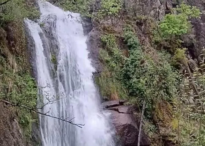 Casa de Férias Pomares *