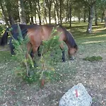 Prázdninový dům Pomares Melgaço