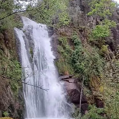 Dom wakacyjny Pomares *