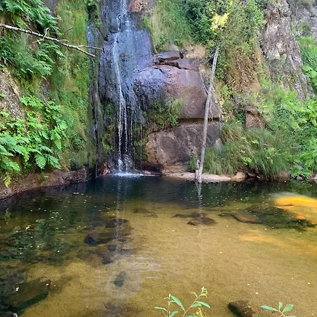 Pomares